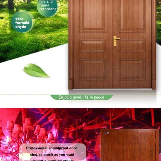 Acoustic Soundproof Door - Image 2