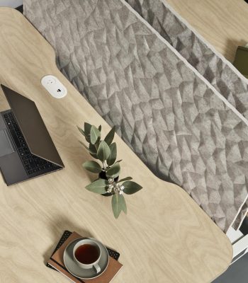 Hero Image_Ion Duet 454