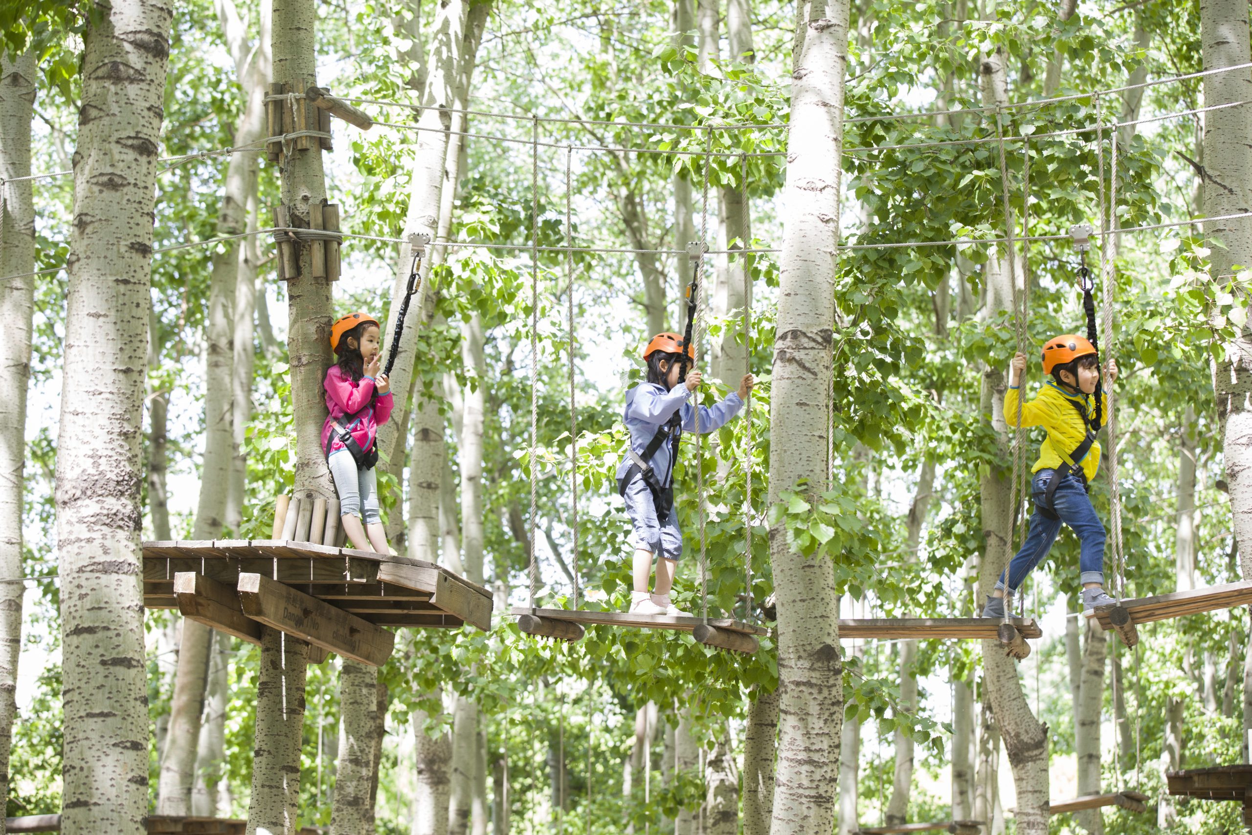 Happy Chinese children playing in tree top adventure park